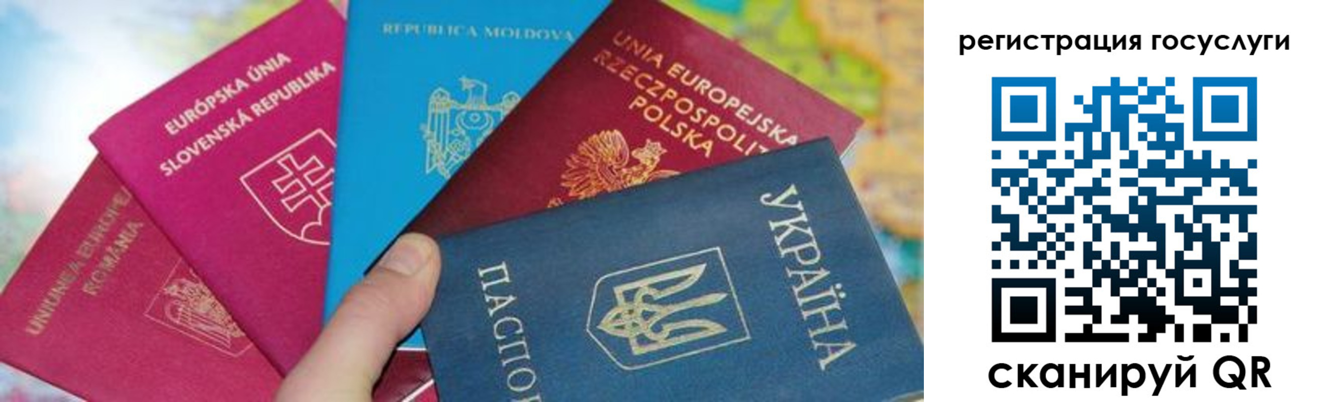 прописка гарантия в Амурской области